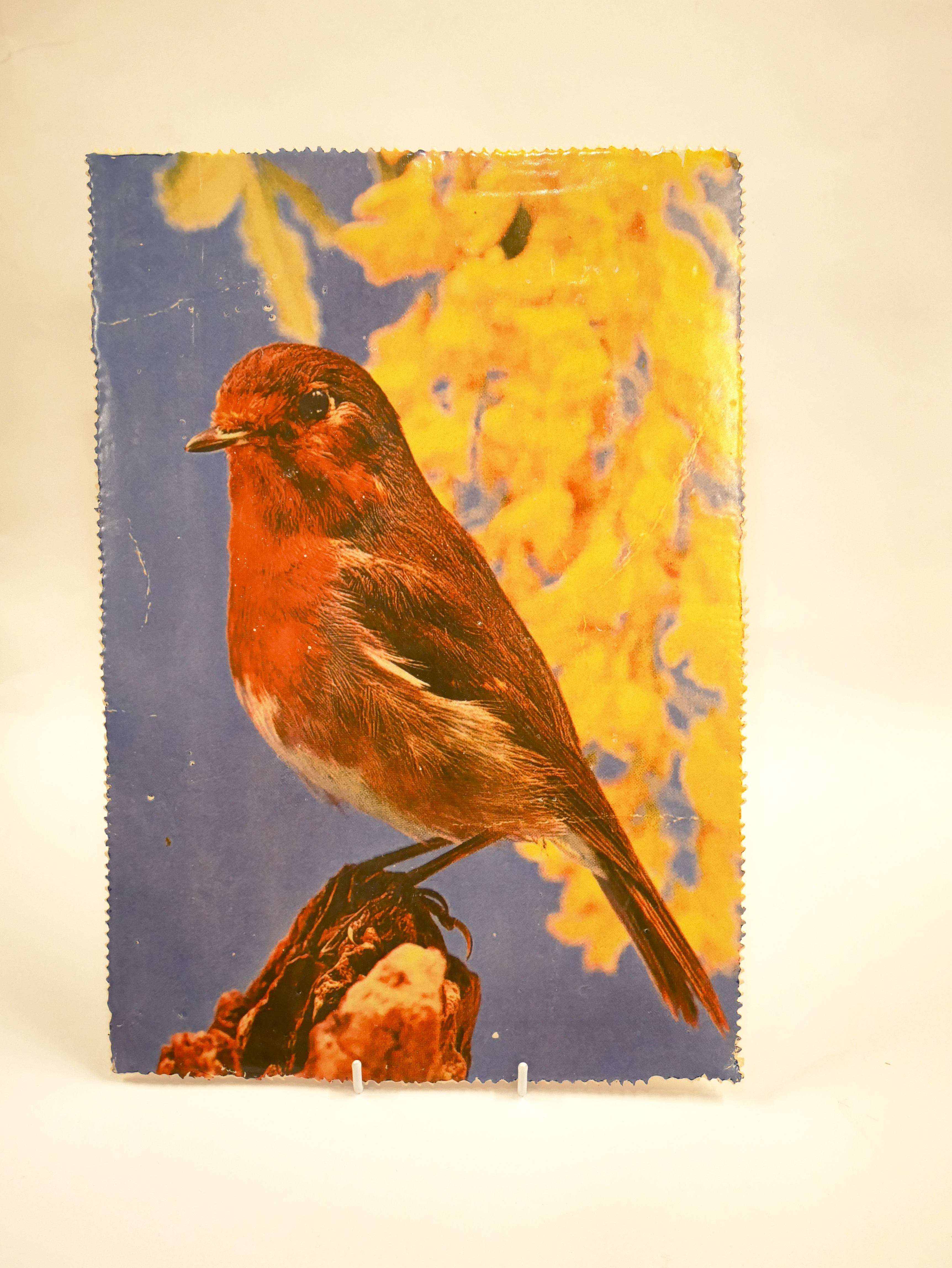 Red Robin